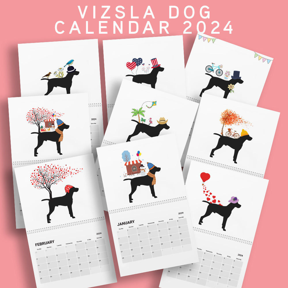 Vizsla Wall Calendar 2024