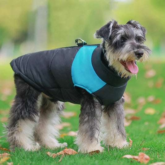 Schnauzer Winter Dog Jackets