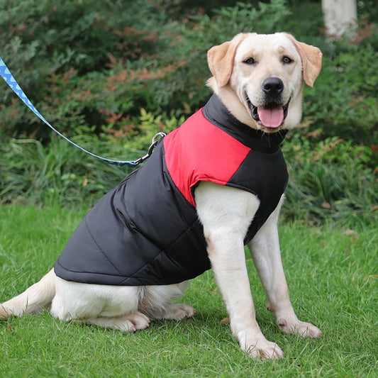 Labrador Winter Dog Jackets