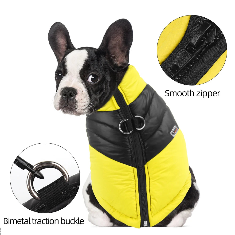 Boston Terrier Winter Jacket