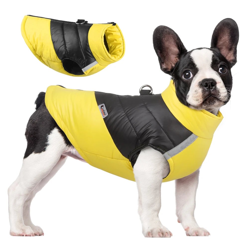 Boston Terrier Winter Jacket