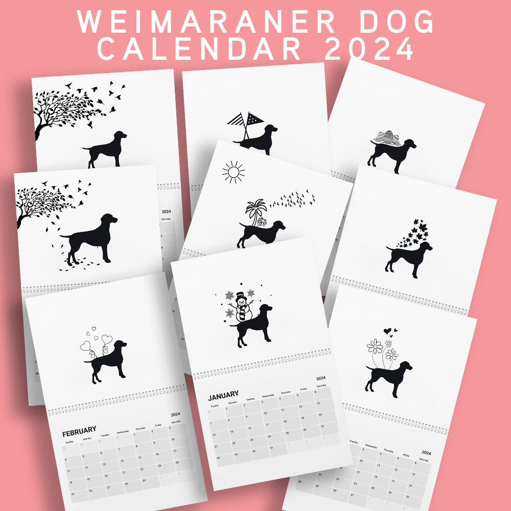 Weimaraner Calendar 2024