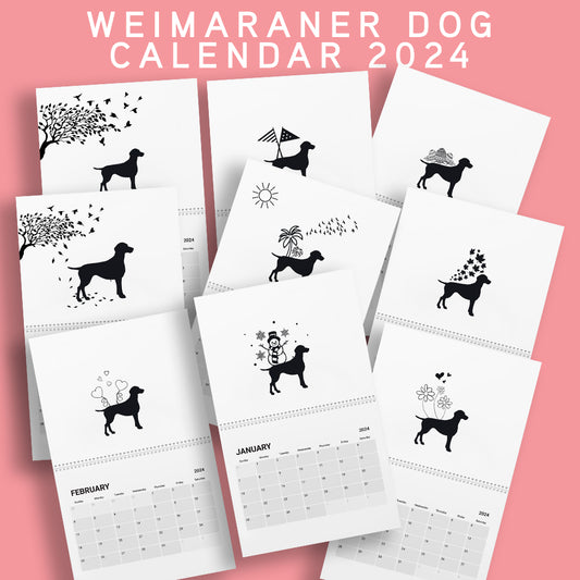 Weimaraner Calendar 2024