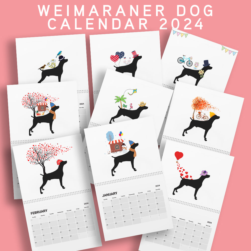 Weimaraner Wall Calendar 2024