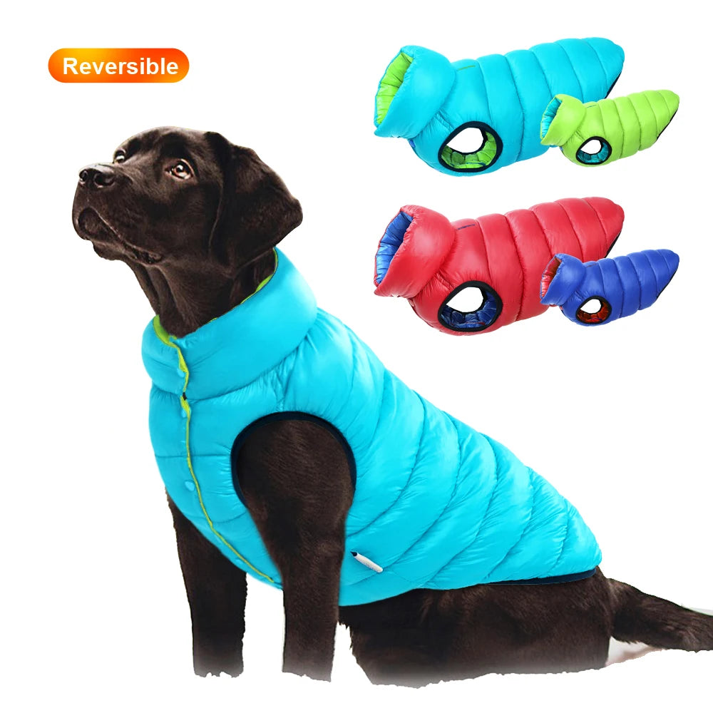 Black Labrador Warm Winter Vest