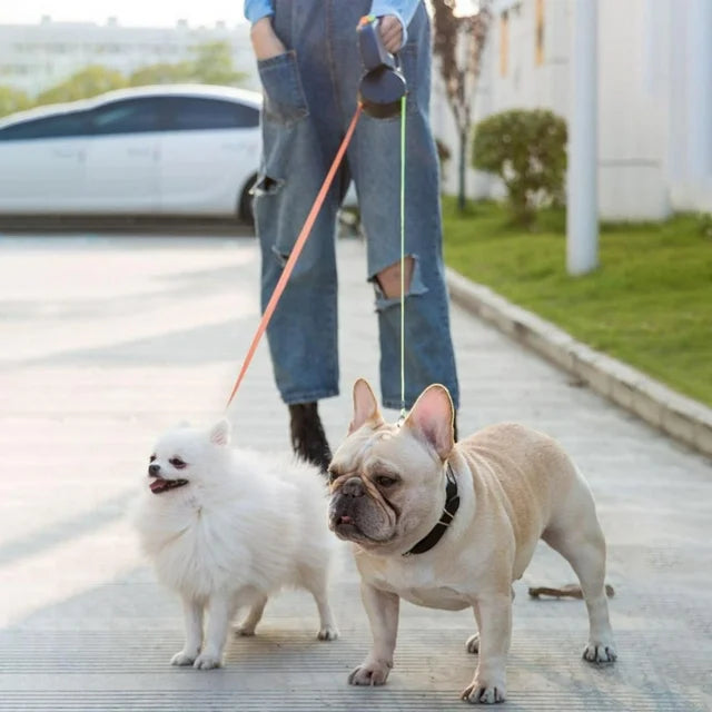 Double Leash with Flashlight