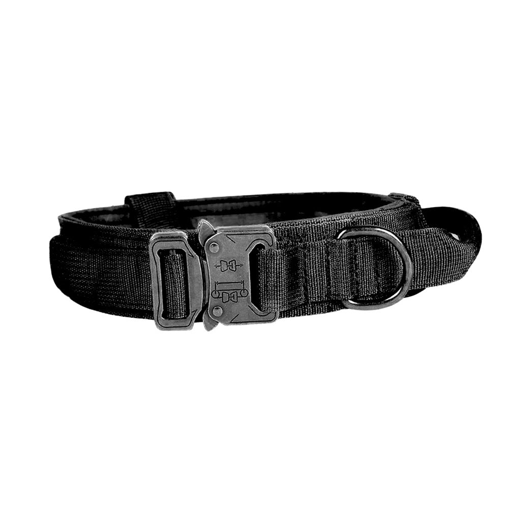 Dog Collar And Leash