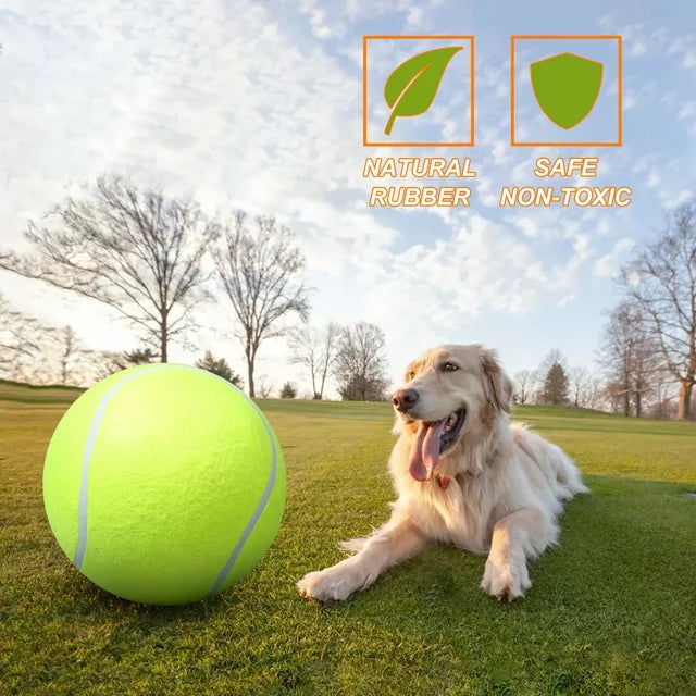 Giant Tennis Ball For Dog