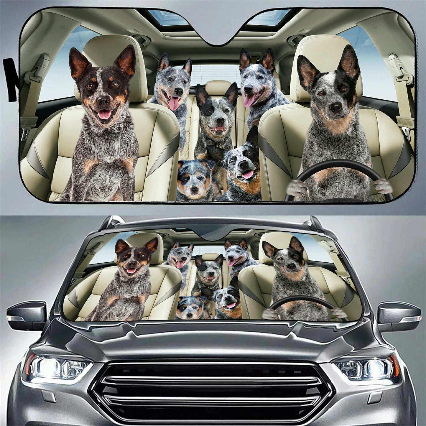 Blue Heeler Family Car Sunshade