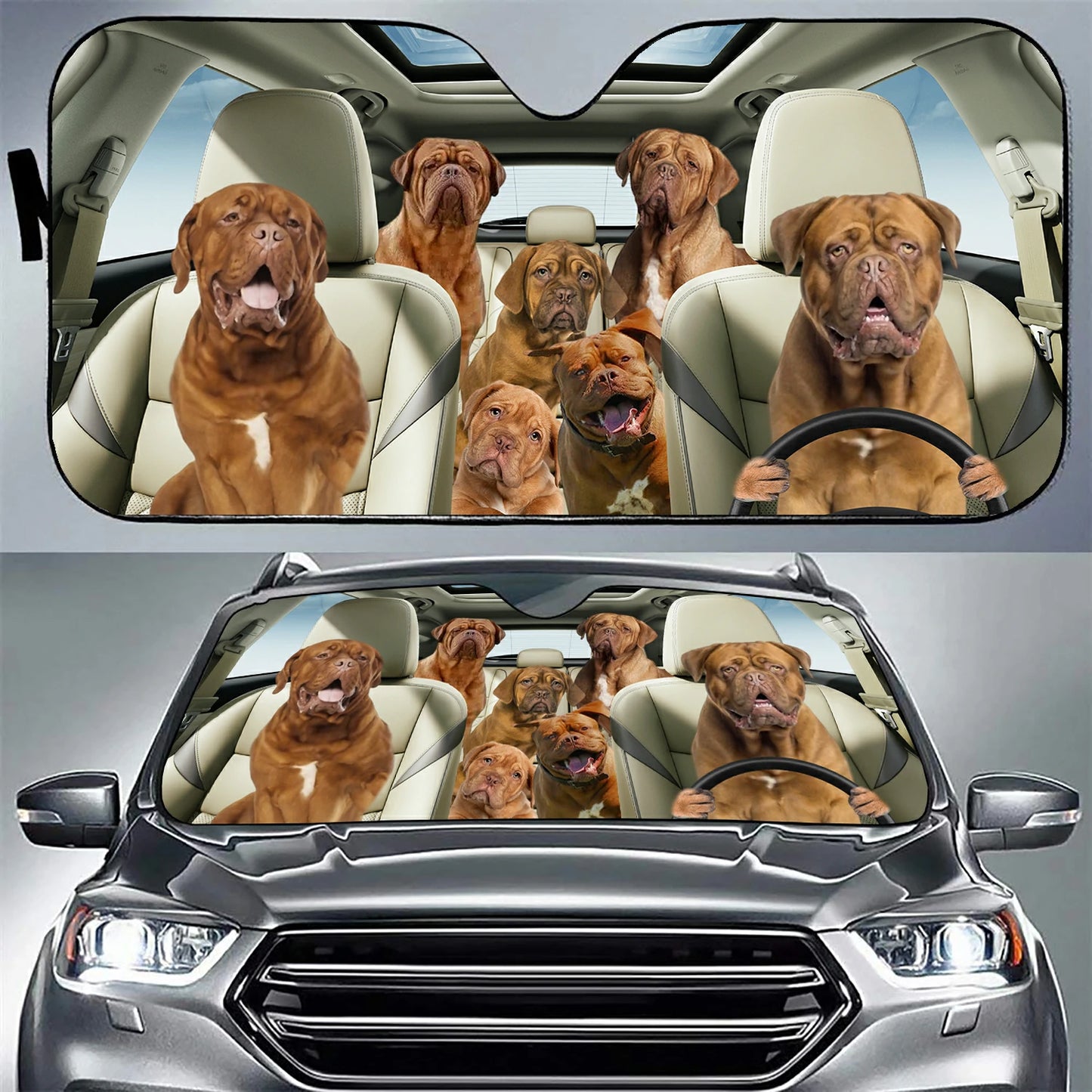 Bordeaux Family Car Sunshade