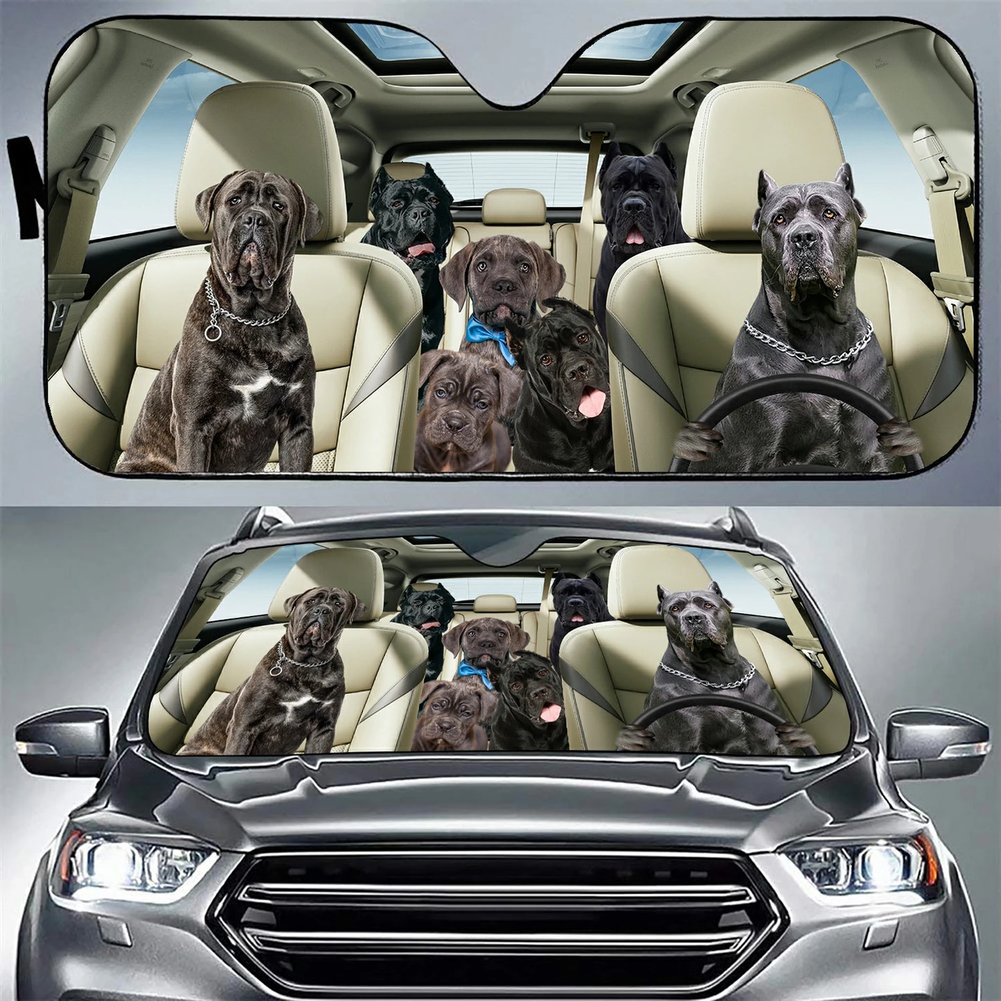 Cane Corso Family Car Sunshade