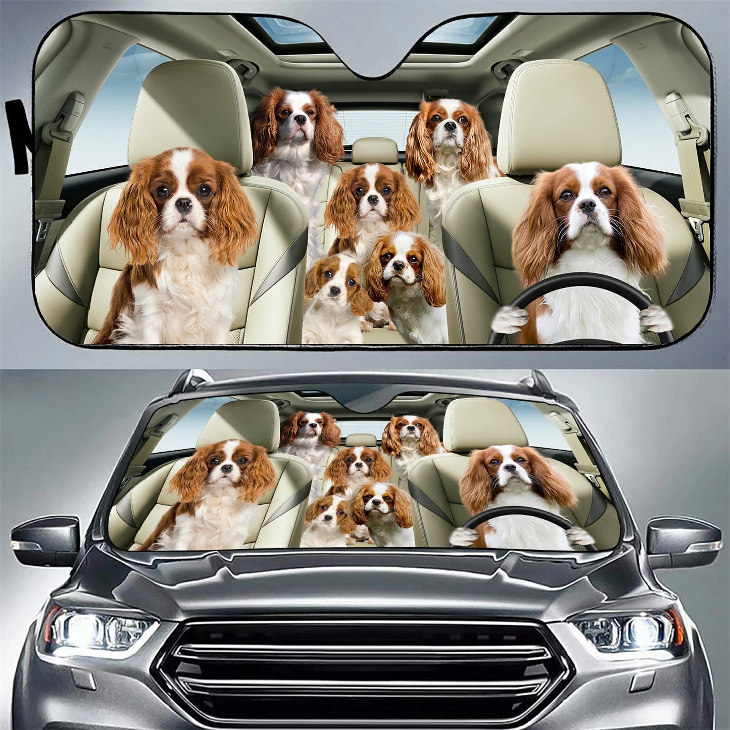 Cavalier Family Car Sunshade