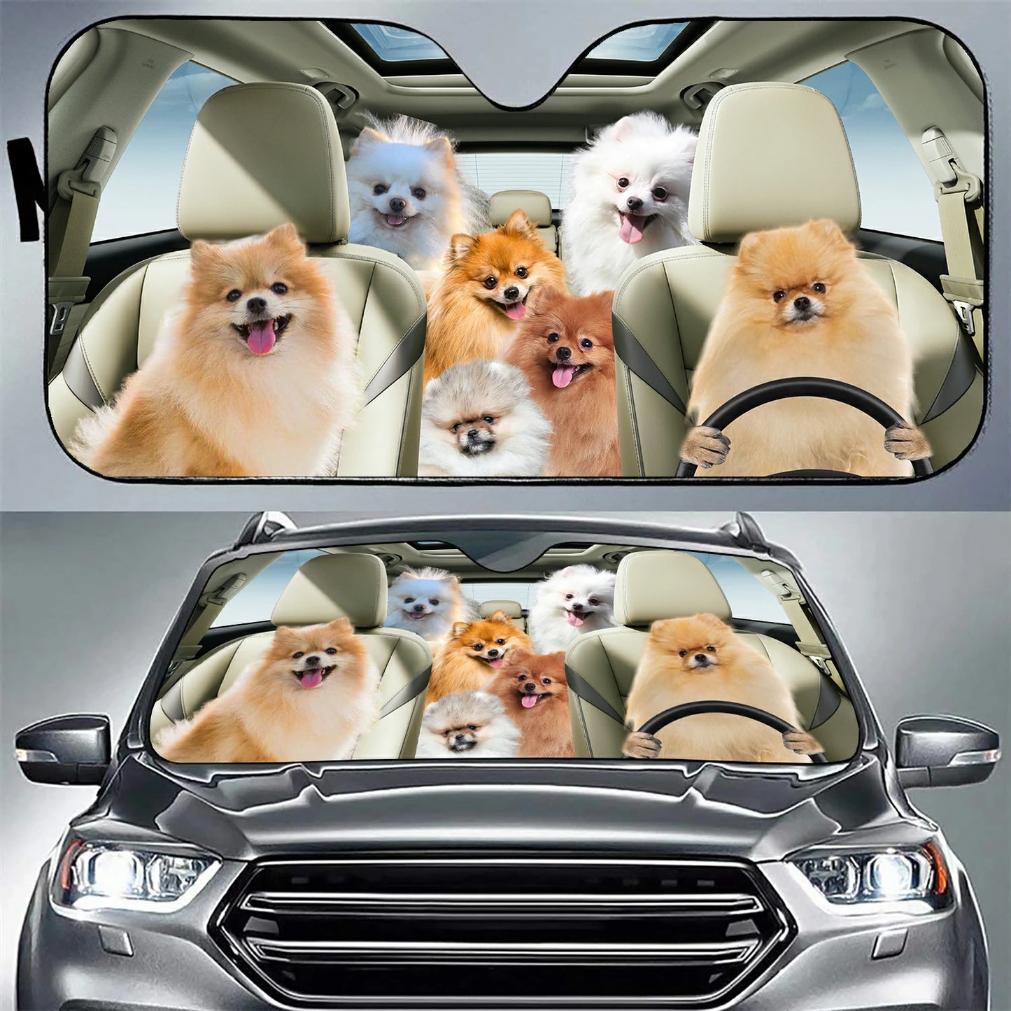 Pomeranian Family Car Sunshade