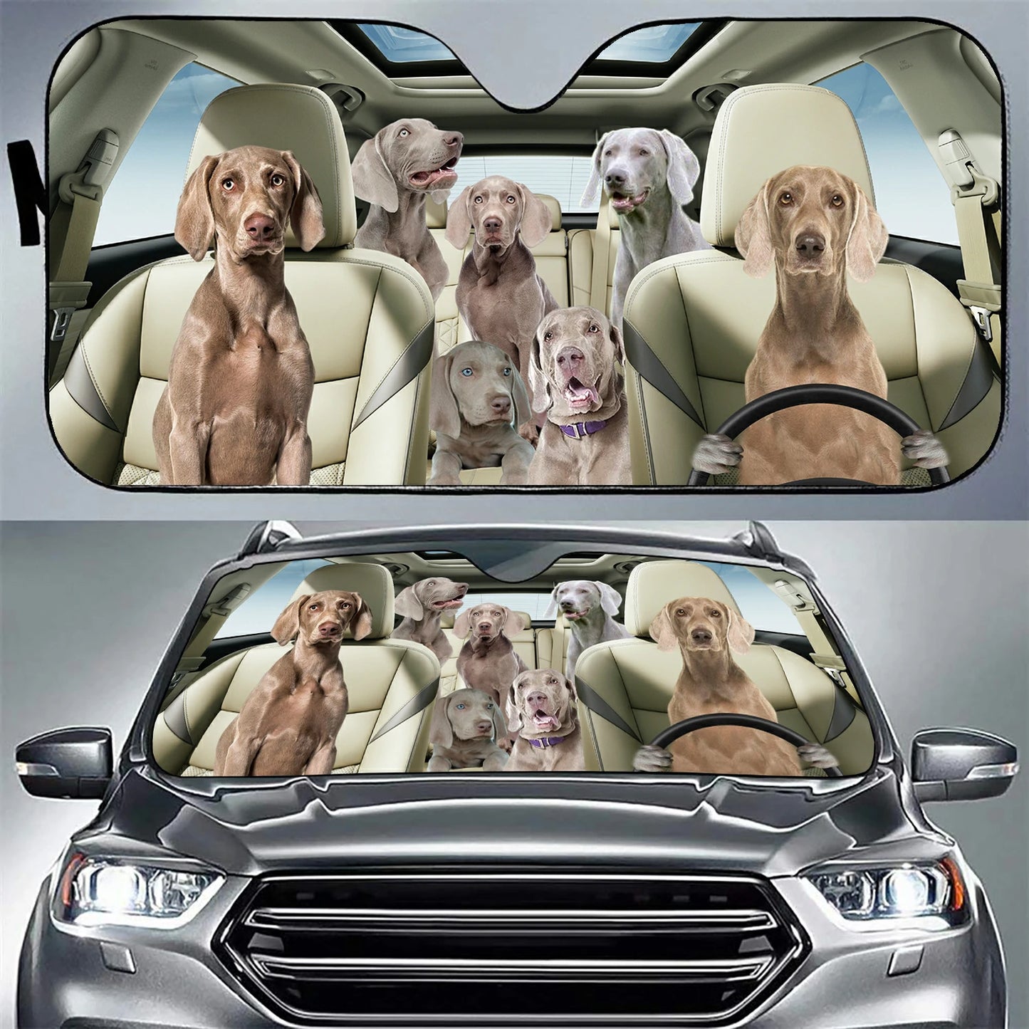 Weimaraner Family Car Sunshade