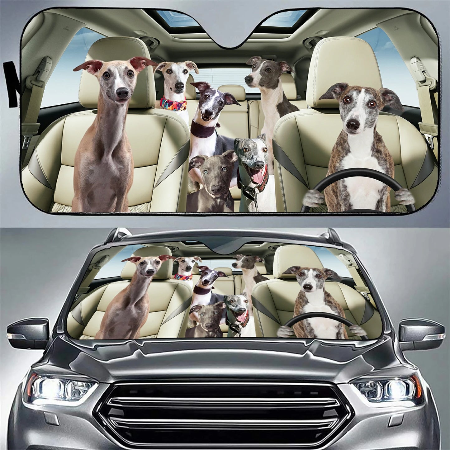 Whippet Family Car Sunshade