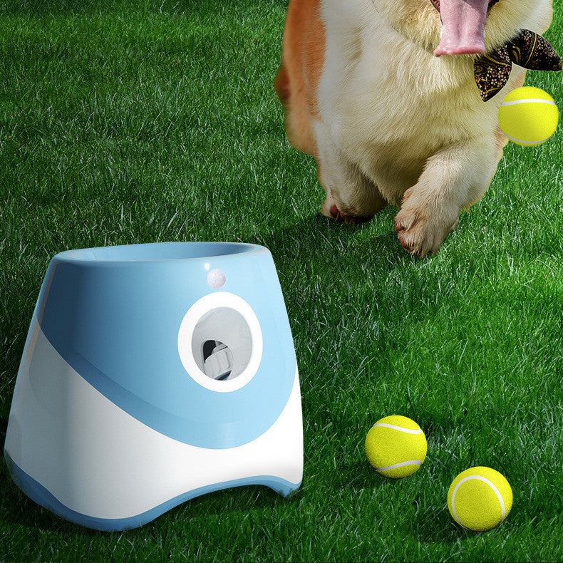 automatic tennis ball launcher for dogs