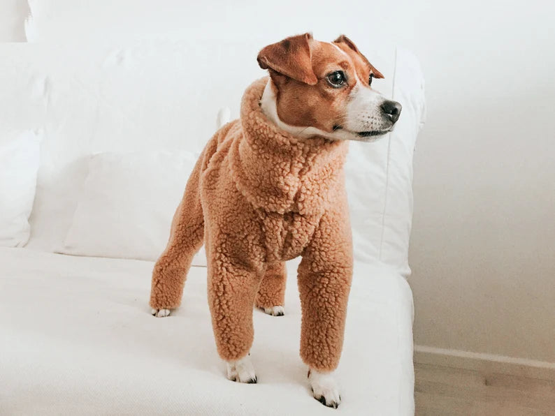 Winter Jack Russell Fleece Sweater