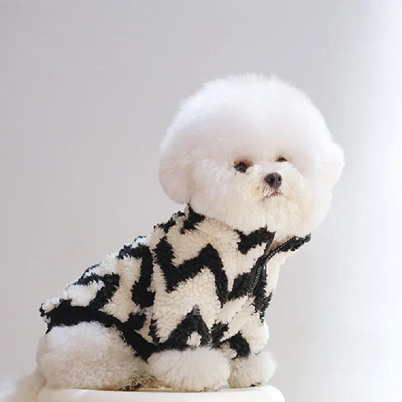 Bichon Frise Striped Winter Jacket