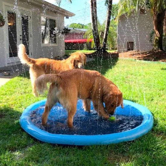 Dog Water Splash Pad