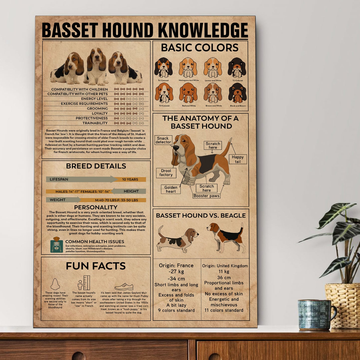 Basset Hound's Knowledge Poster