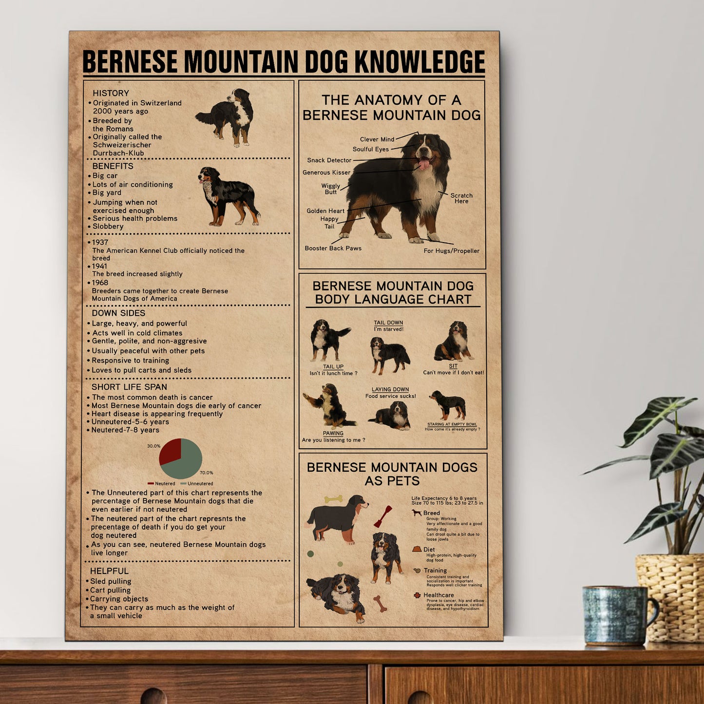 Bernese's Knowledge Poster