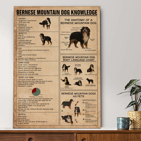 Bernese's Knowledge Poster