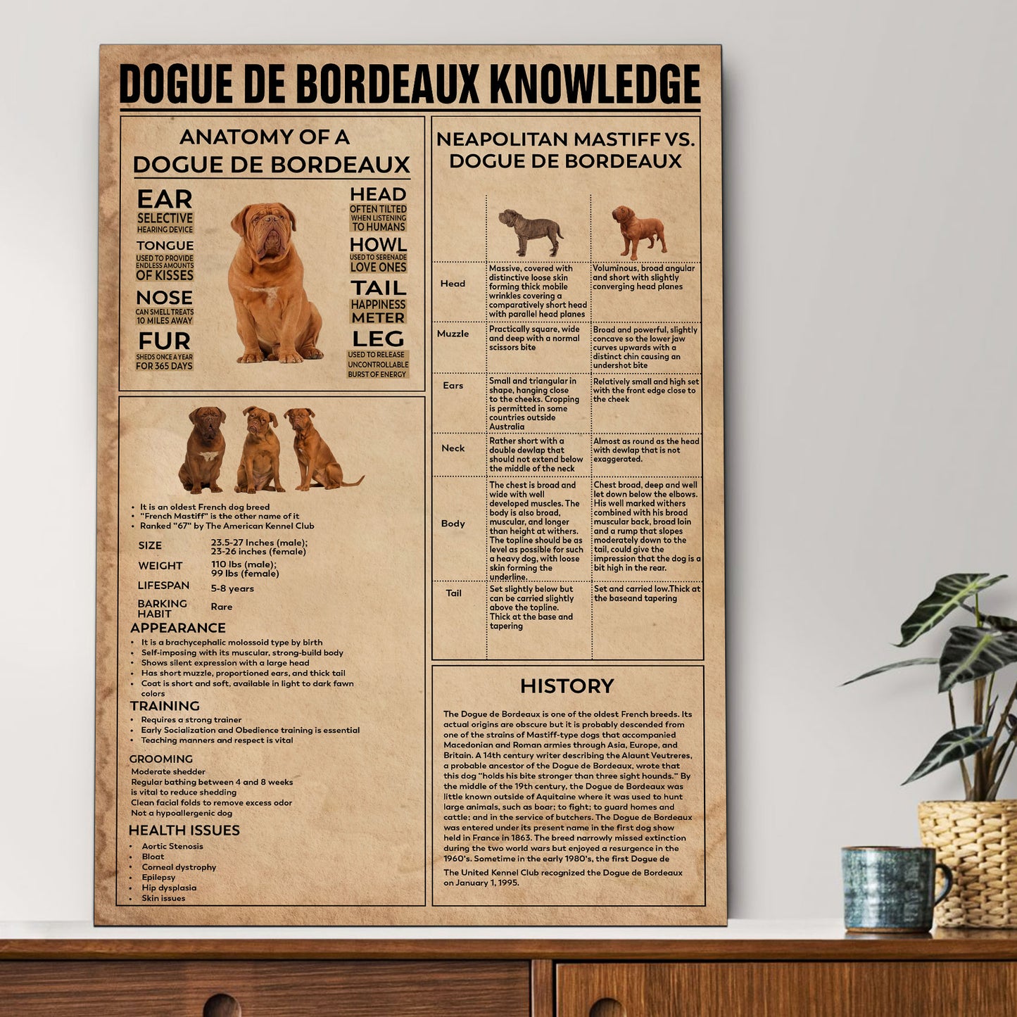 Bordeaux's Knowledge Poster