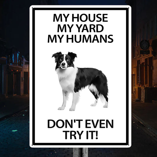 Border Collie Yard Warning Sign