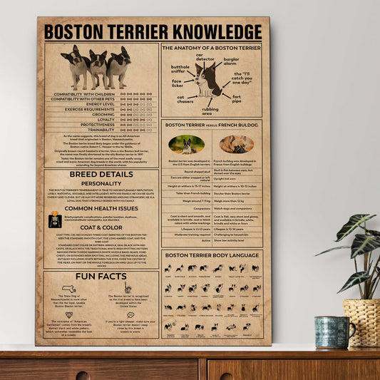 Boston Terrier's Knowledge Poster