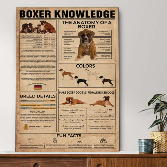 Boxer's Knowledge Poster