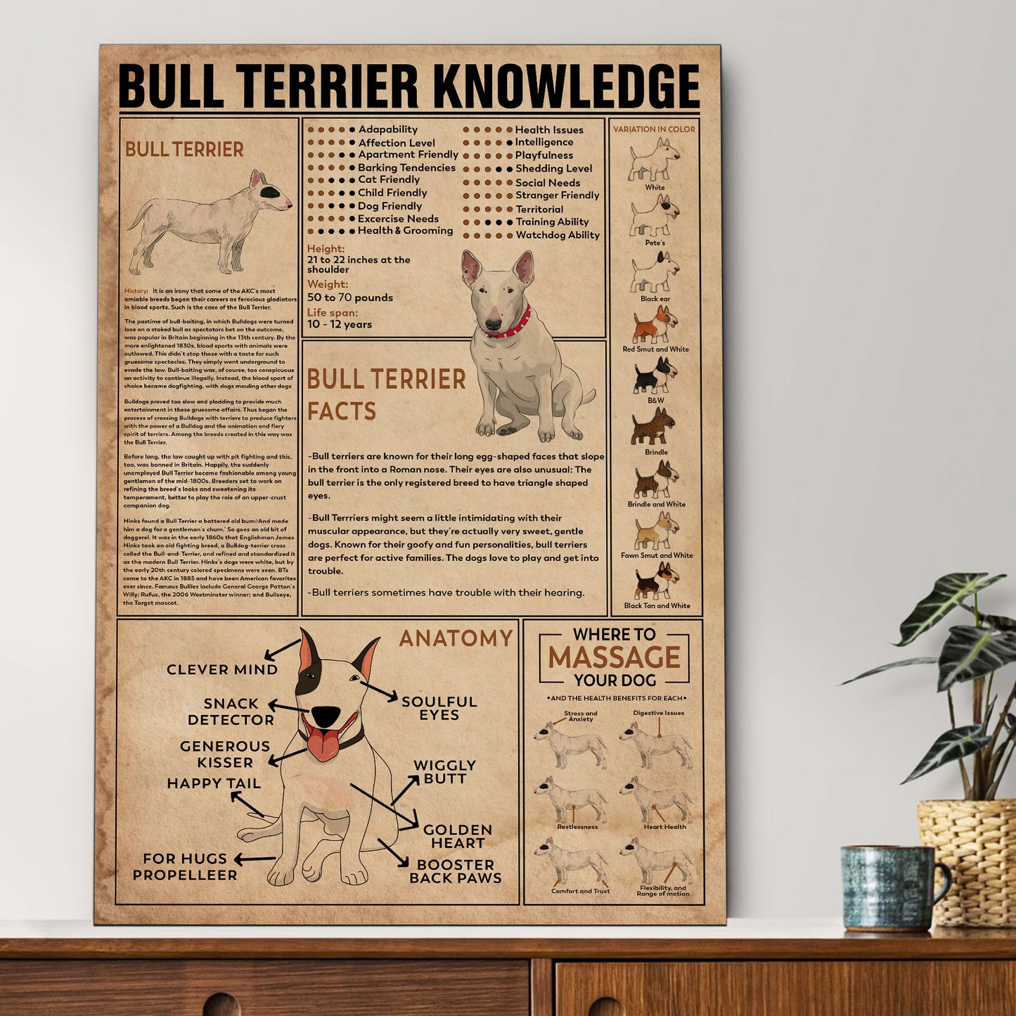 Bull Terrier's Knowledge Poster