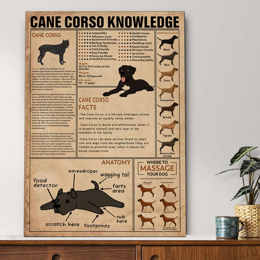 Cane Corso's Knowledge Poster