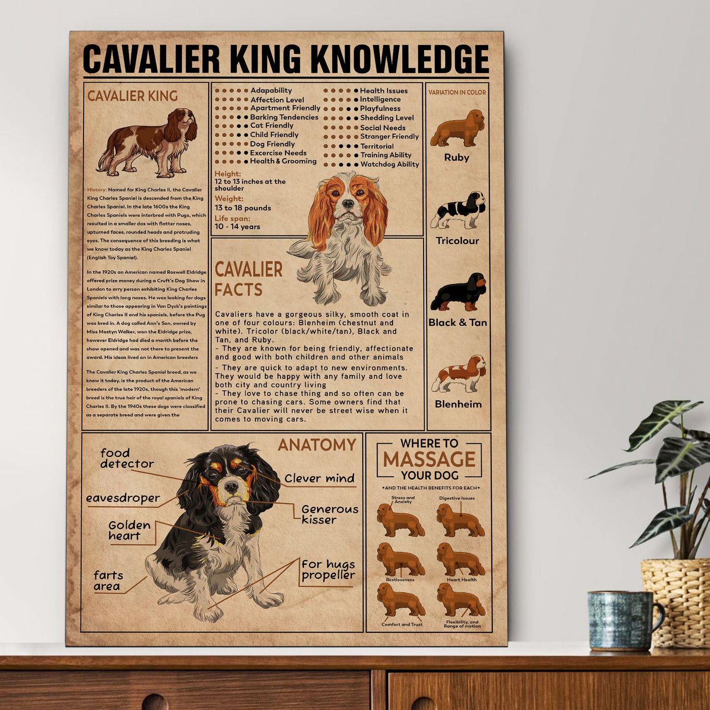 Cavalier's Knowledge Poster