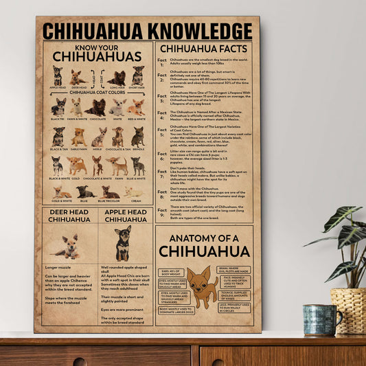 Chihuahua's Knowledge Poster