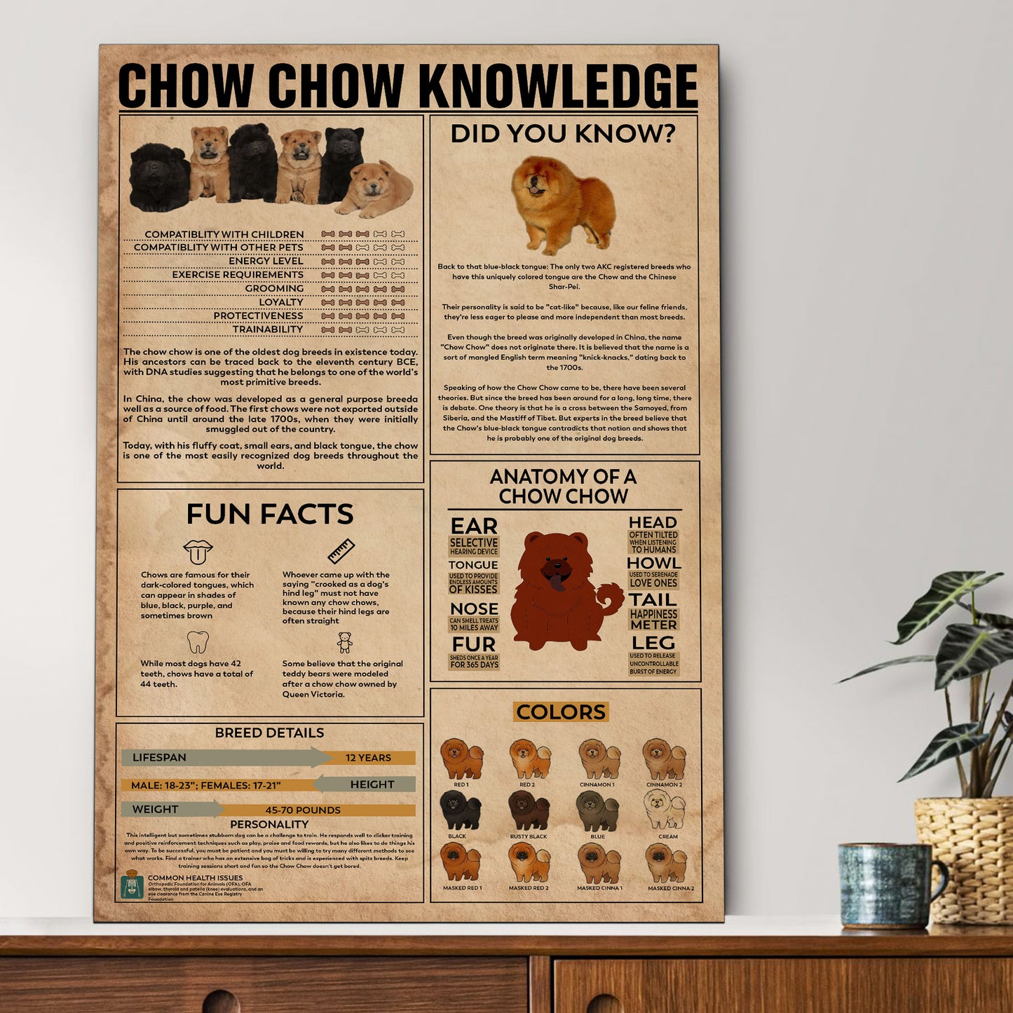 Chow Chow's Knowledge Poster