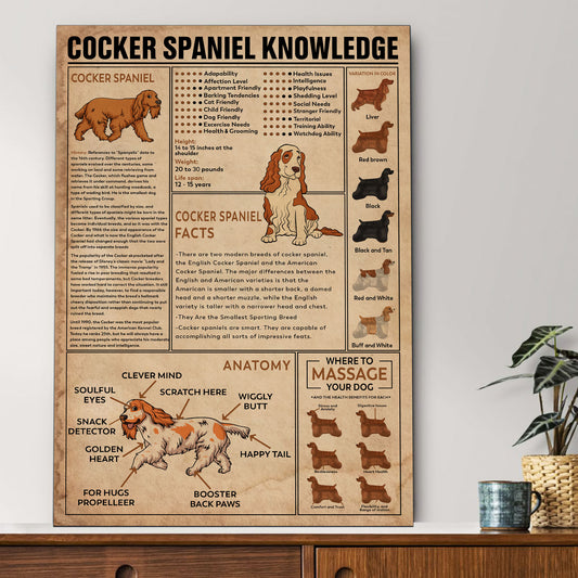 Cocker Spaniel's Knowledge Poster