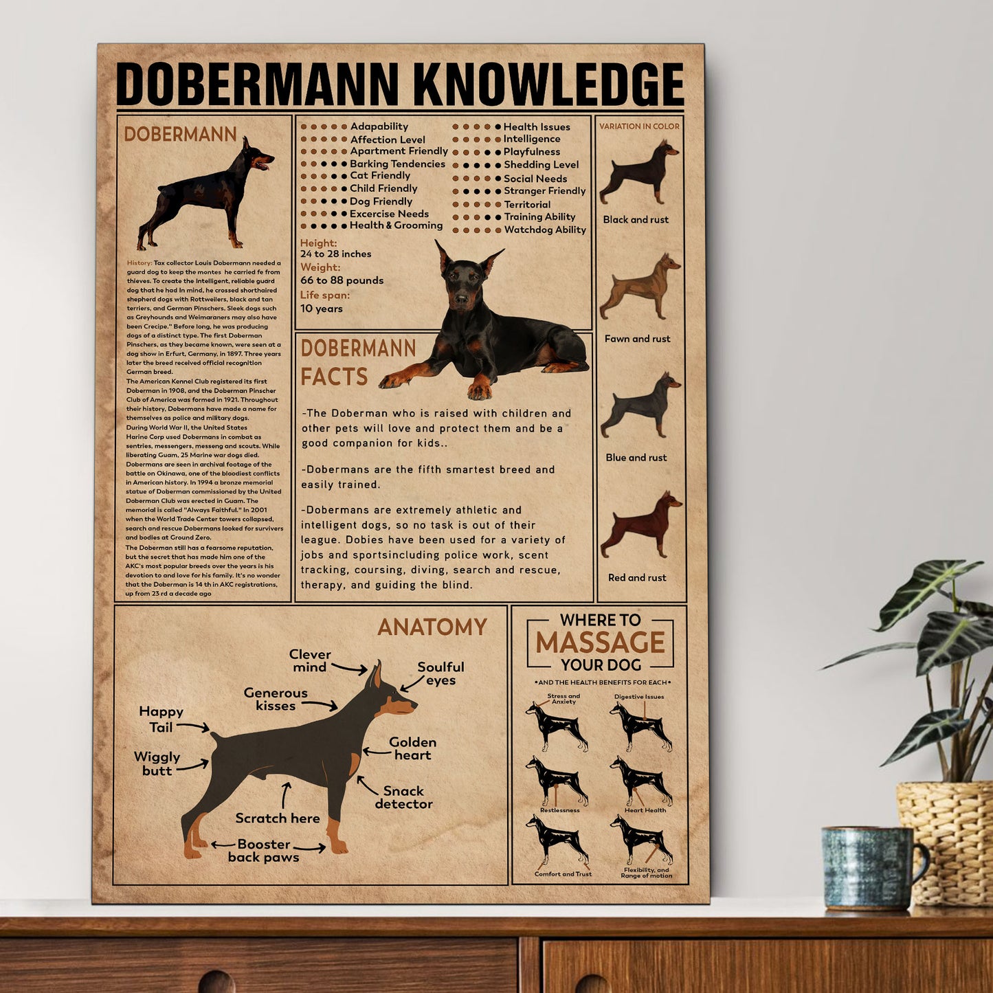 Doberman's Knowledge Poster