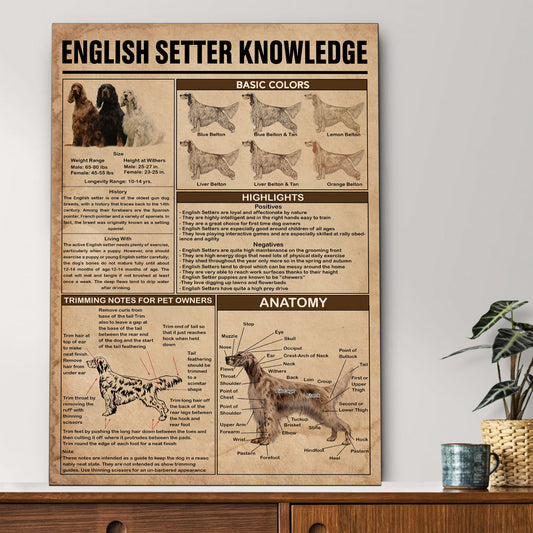 English Setter's Knowledge Poster