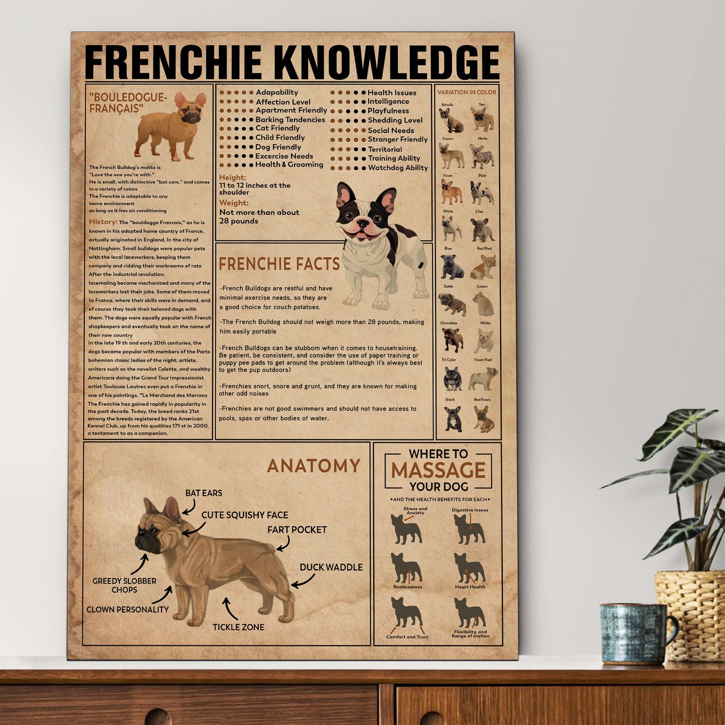 Frenchie's Knowledge Poster