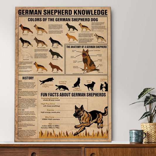 German Shepherd's Knowledge Poster