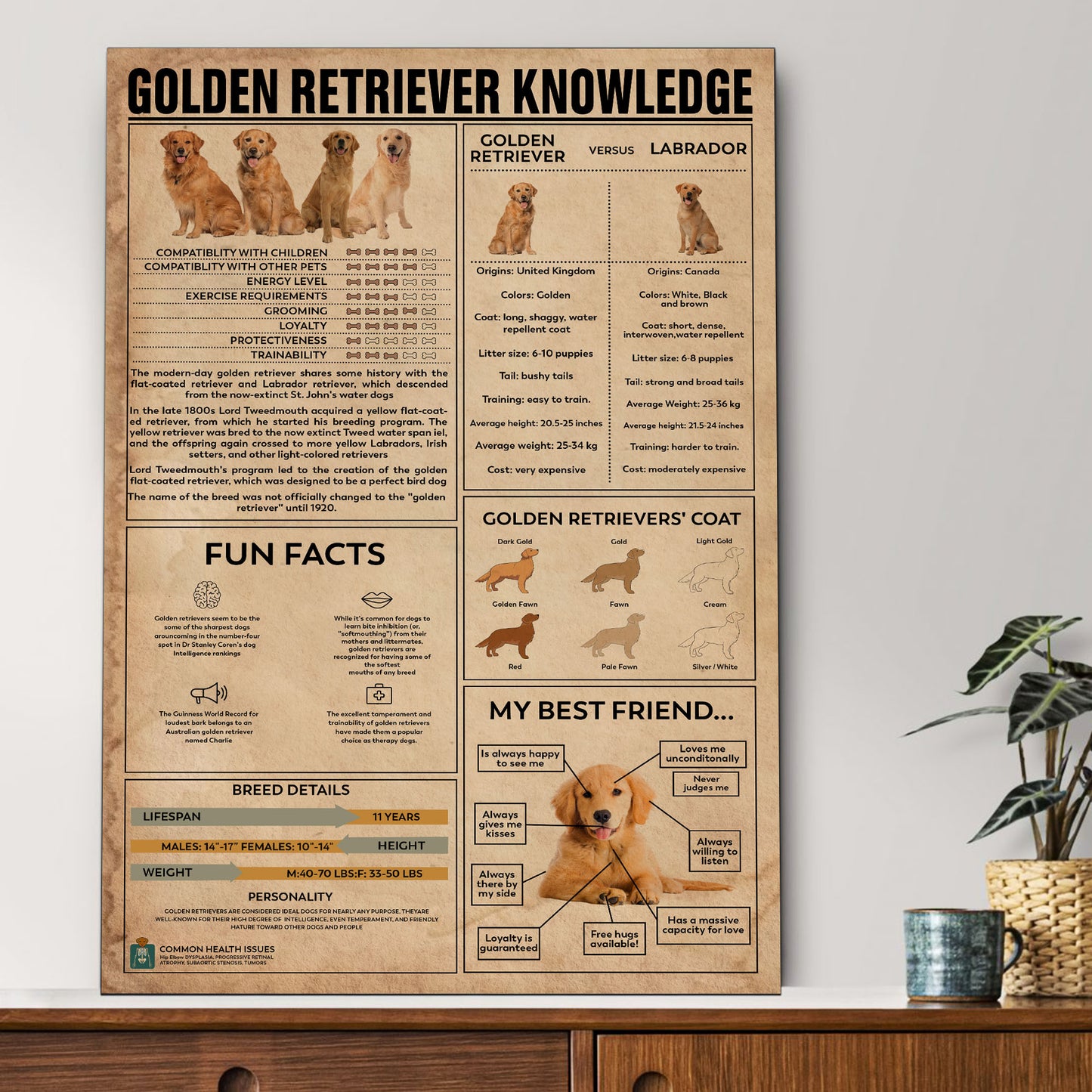 Golden Retriever's Knowledge Poster