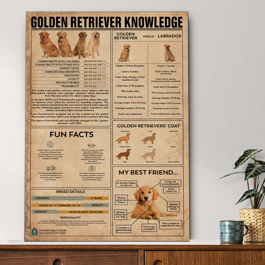 Golden Retriever's Knowledge Poster