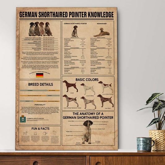 GS Pointer's Knowledge Poster