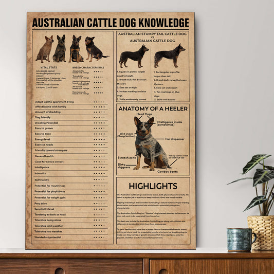 Heeler's Knowledge Poster