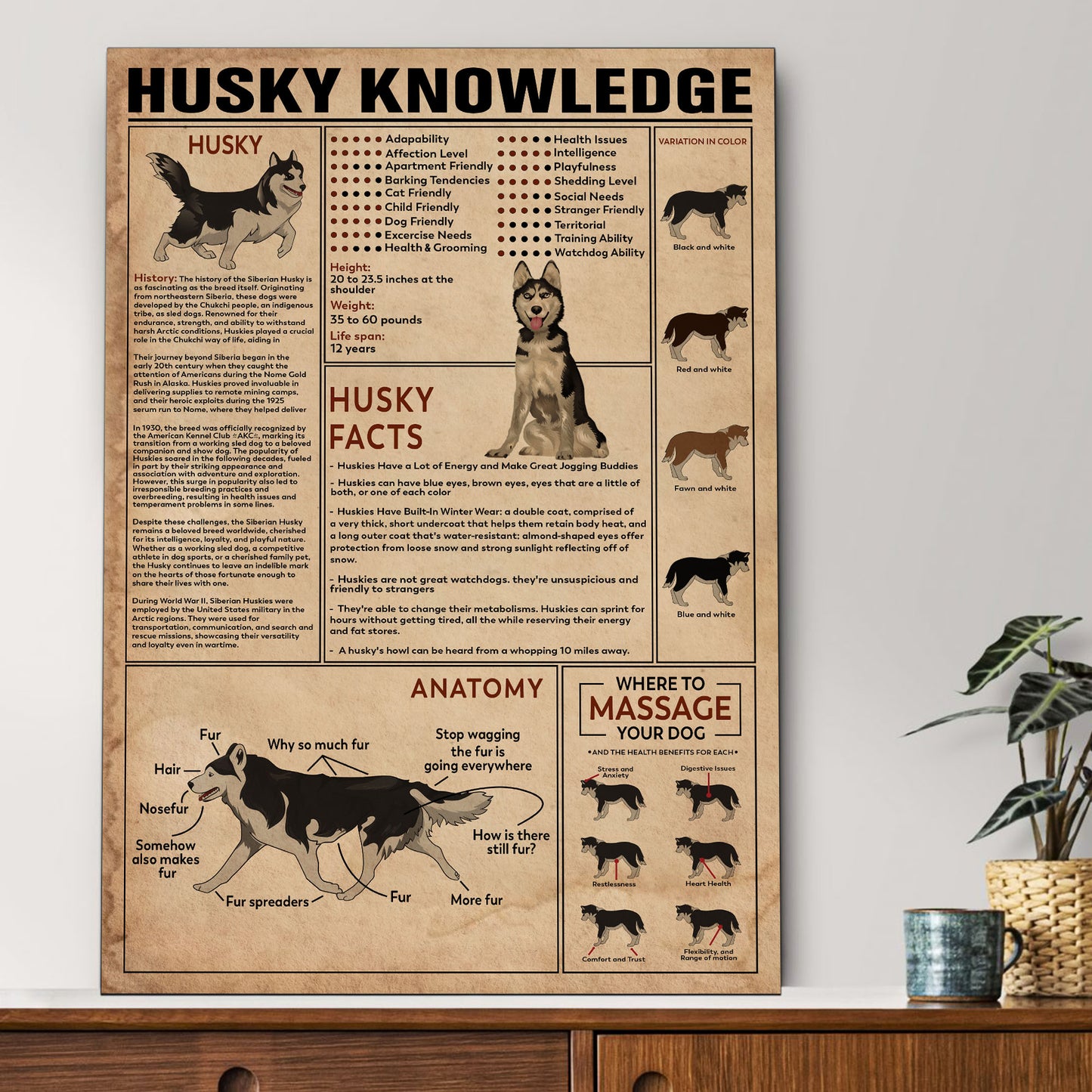 Husky's Knowledge Poster