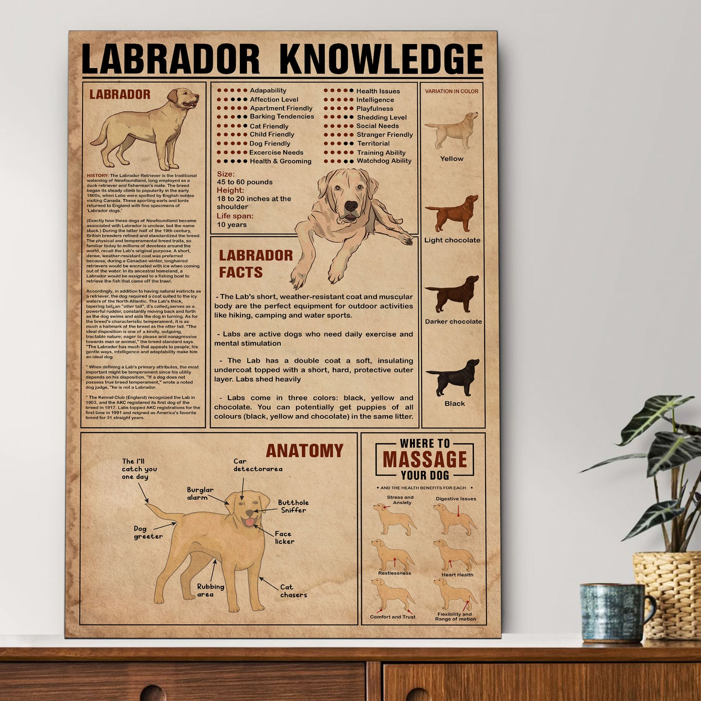 Labrador's Knowledge Poster