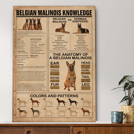 Malinois's Knowledge Poster