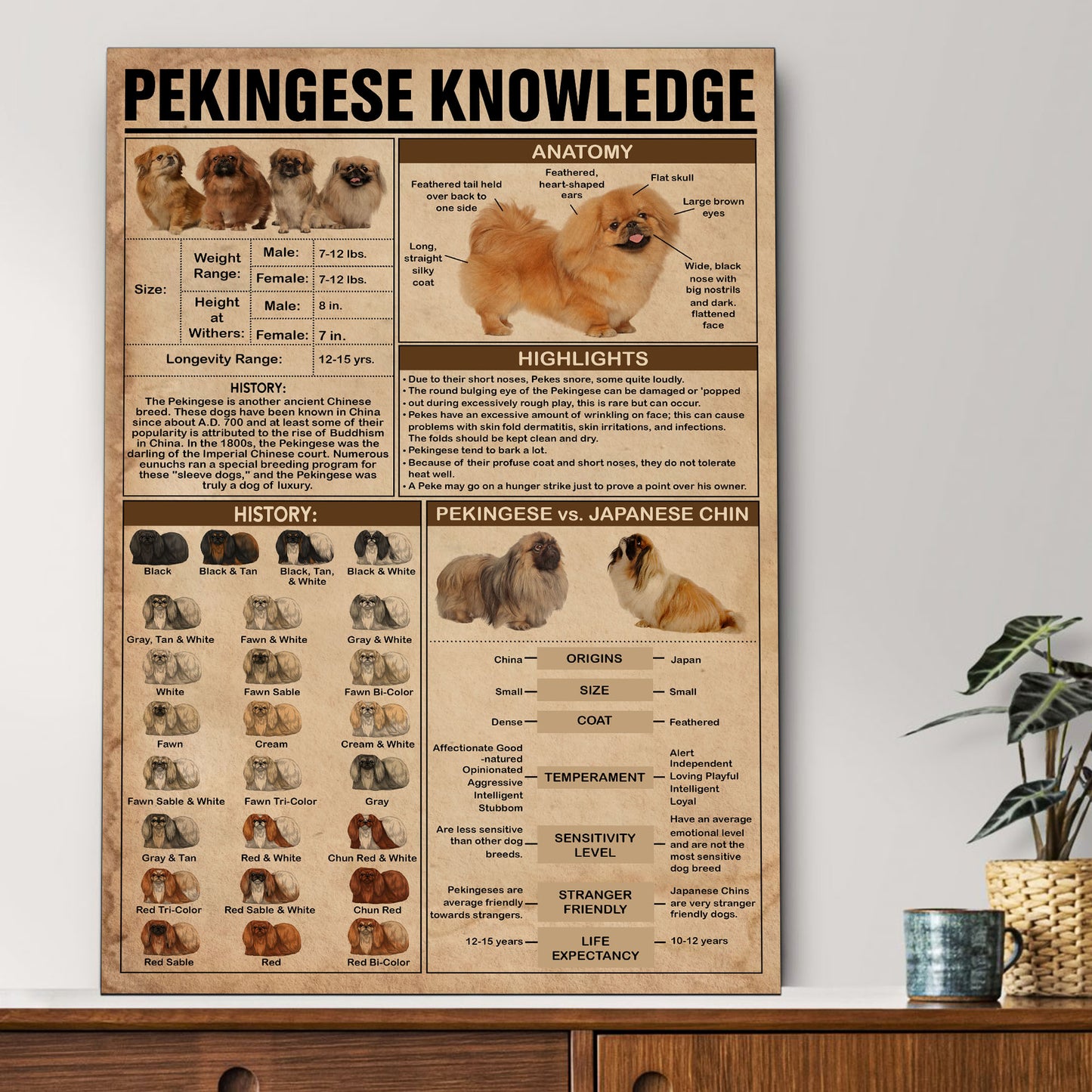 Pekingese's Knowledge Poster