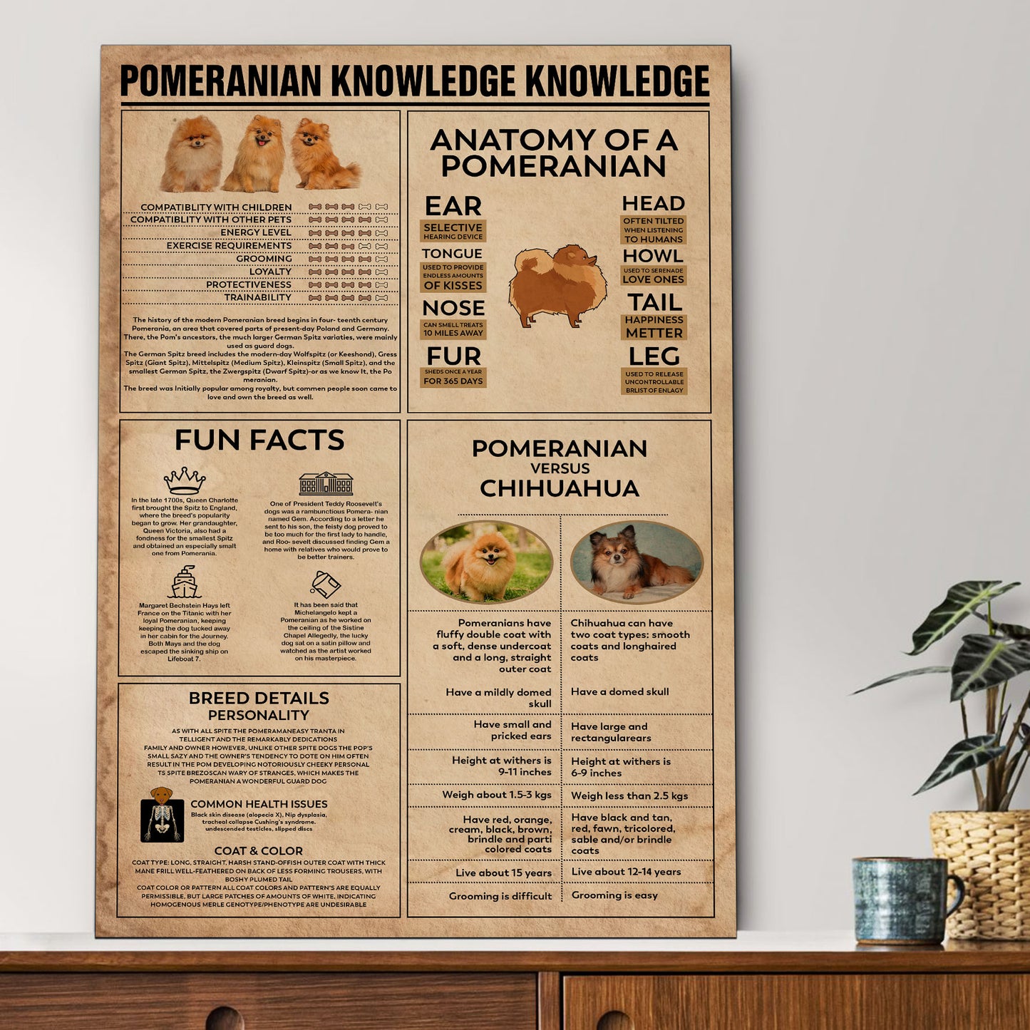 Pomeranian's Knowledge Poster