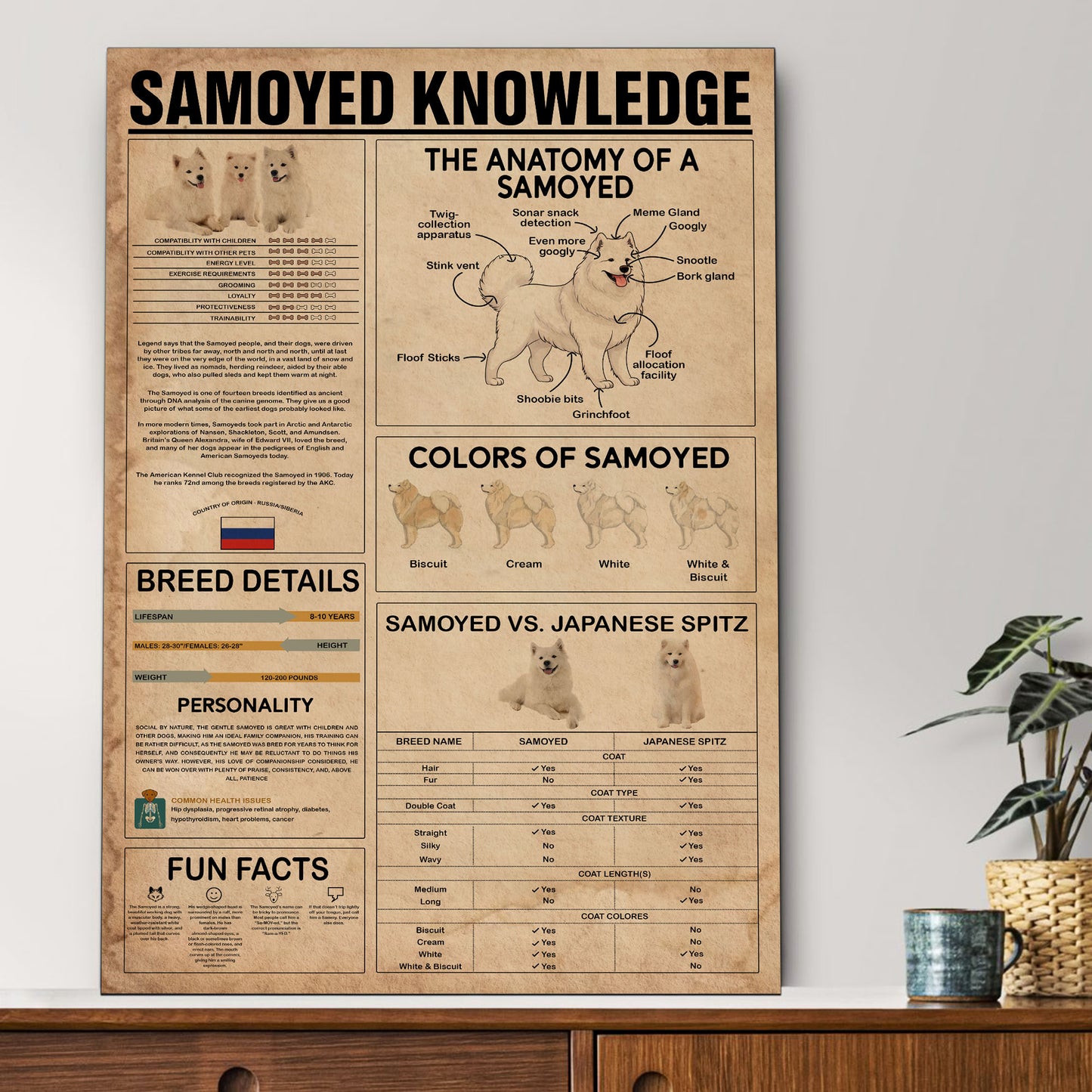 Samoyed's Knowledge Poster